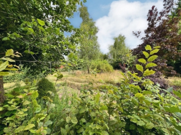 Hier entsteht Ihr Traumhaus!, 49497 Mettingen, Grundstück